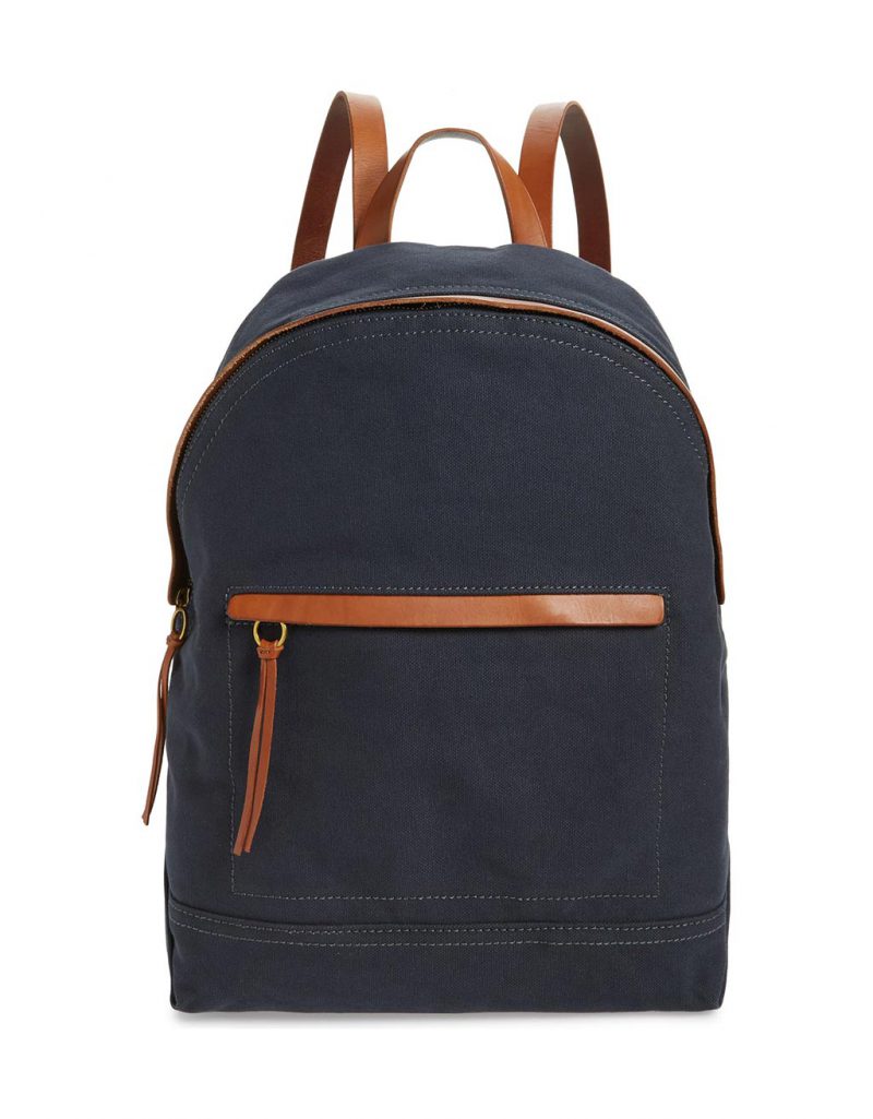 Trailmaker Classic 17 Inch Clear PVC Backpack